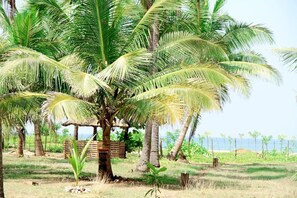 Property grounds - Rüstic Beach Villa (Mundalama)