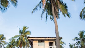 A two-story building with a staircase leading to the upper floor, surrounded by palm trees. - Rüstic Beach Villa (Mundalama)