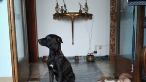 Unclassified image, 5 of 43, button - B&B Mavipagi (Verona)
