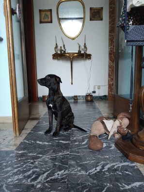 Interior - B&B Mavipagi (Verona)