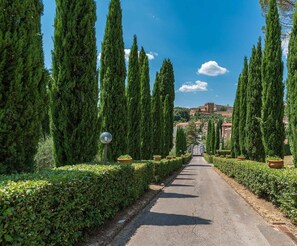 A paved pathway flanked by neatly trimmed hedges and tall cypress trees, leading towards a distant building with a hill in the background. - Villa Le Tortore Tuscany private luxury pool relax (Siena)