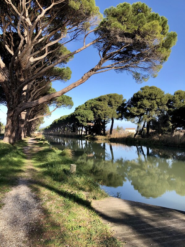 A pathway leading to a calm water body with trees on both sides.