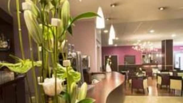 Zona de recepción con un mostrador de madera, una planta en maceta con flores blancas y un diseño interior moderno.