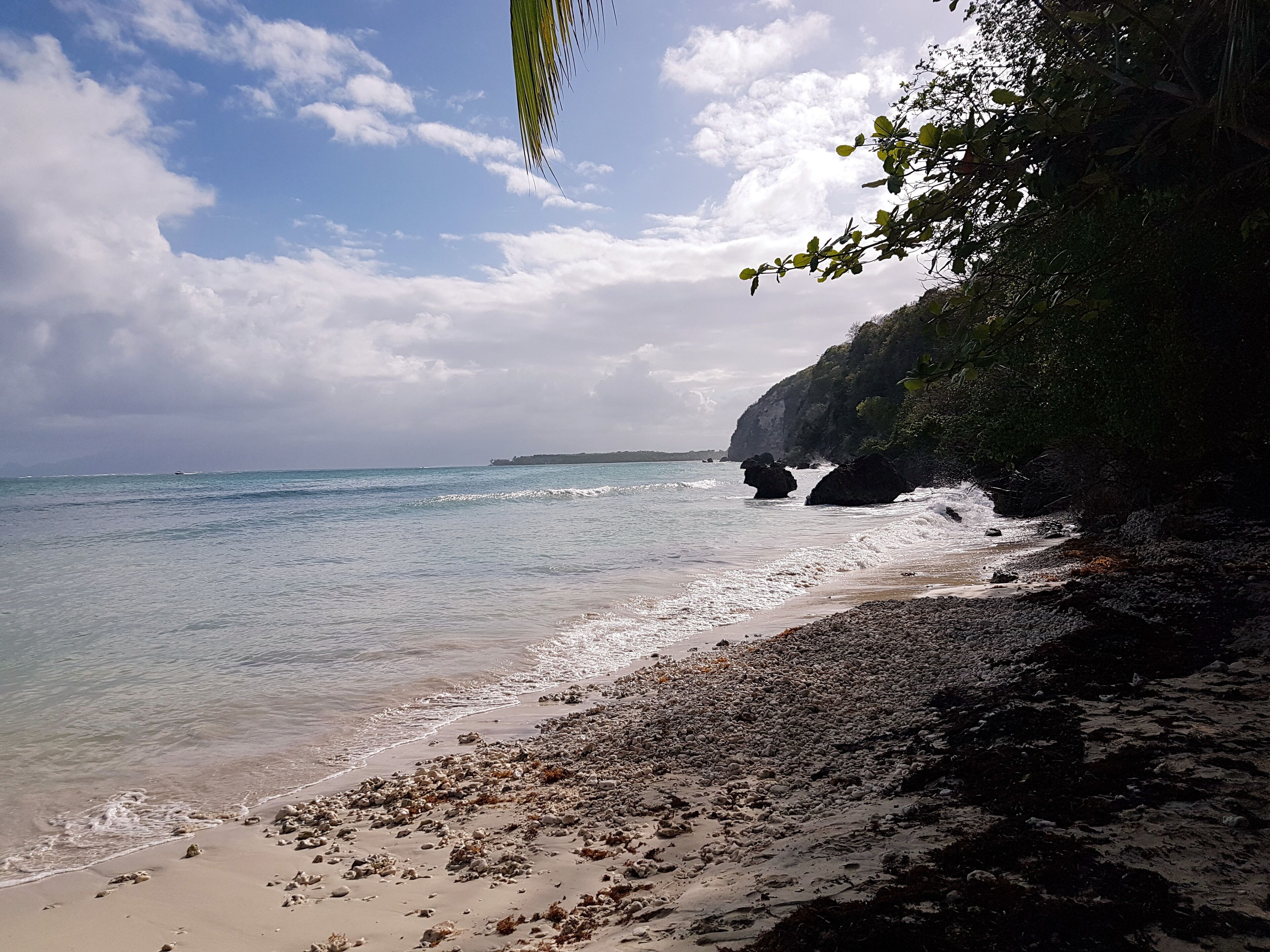 Plage à proximité, chaises longues, serviettes de plage