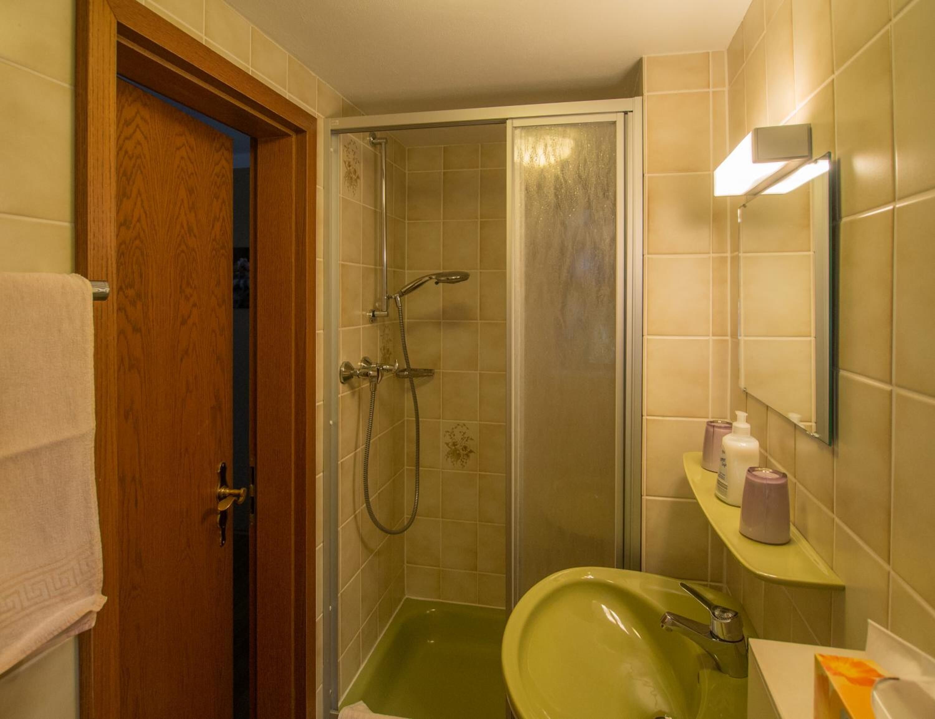 Ein Badezimmer mit einem grünen Waschbecken, einer Dusche mit Glastür und einer Holztür.