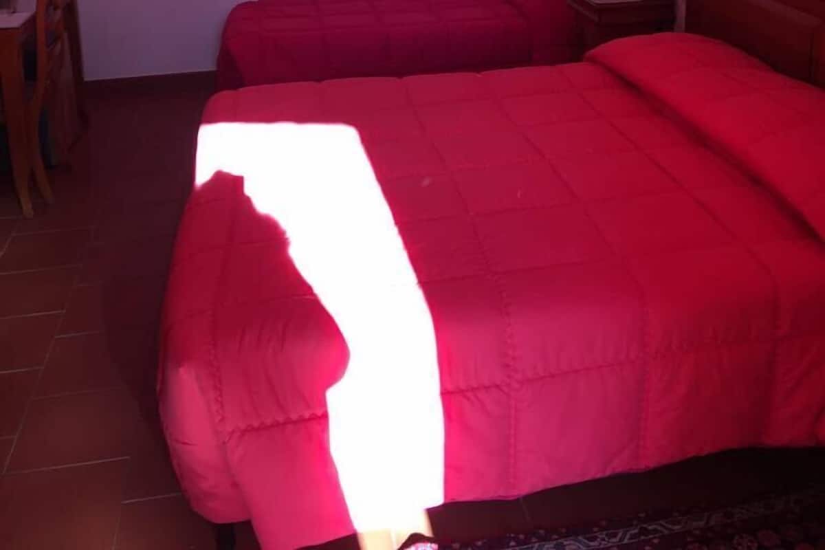 Un dormitorio con dos camas, un escritorio y una silla.