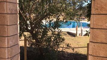 Seasonal outdoor pool, open 8 AM to 8 PM, pool umbrellas, sun loungers