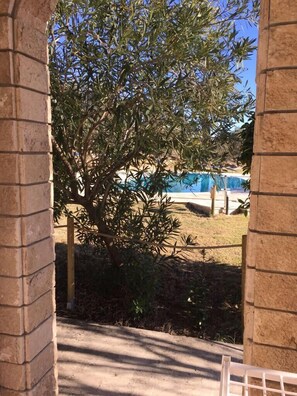 季節性室外泳池;08:00 至 20:00 開放;泳池傘、躺椅