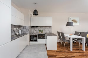 Superior Apartment | Private kitchenette | Fridge, microwave, oven, stovetop
