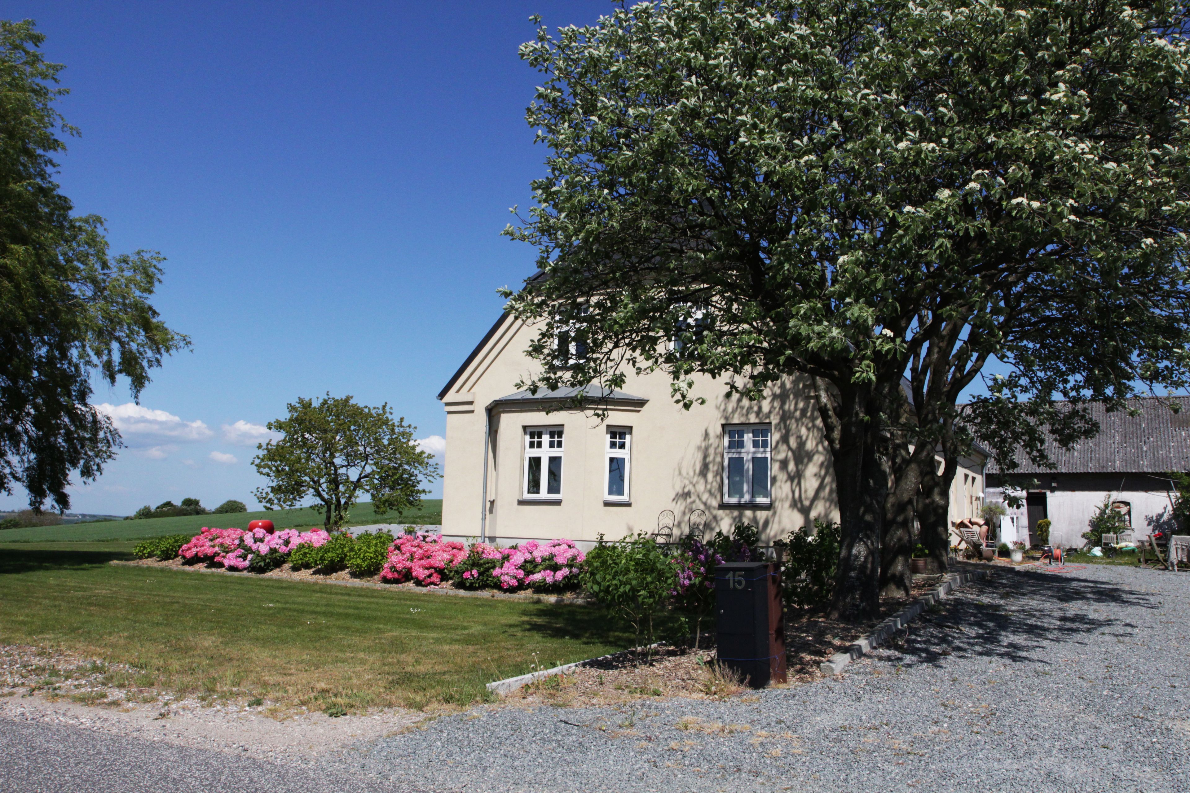 A house with a large tree in front, a gravel driveway, and pink flowers in the yard.