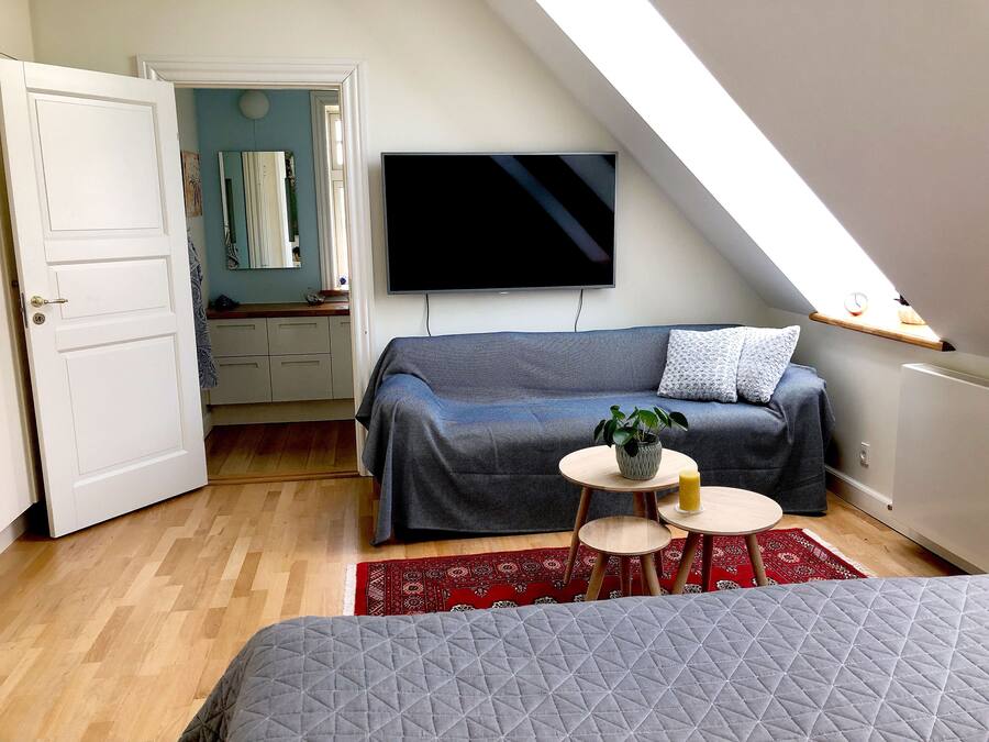 A cozy room with a bed, a sofa, a TV, a small table with a plant, and a red rug.