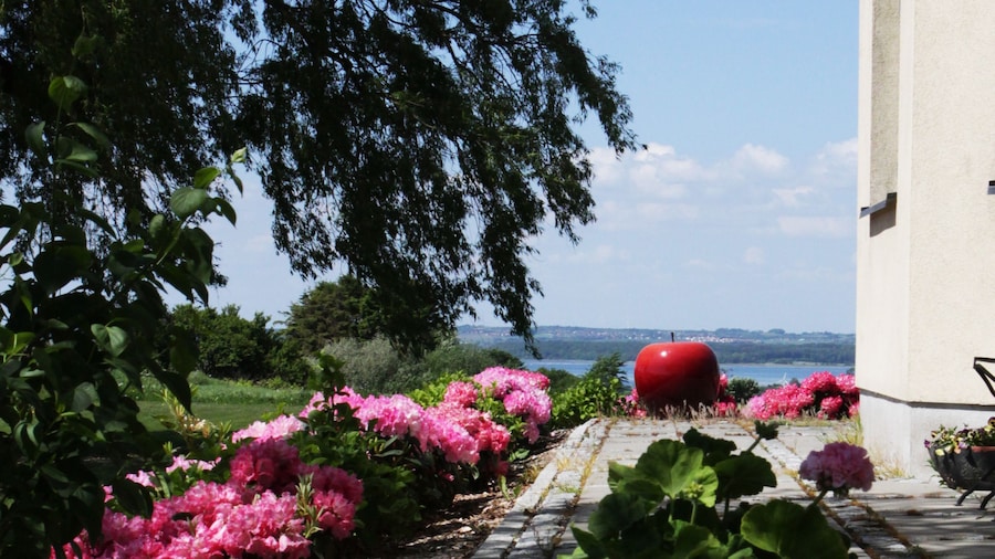 Basballegaard Bed & Breakfast