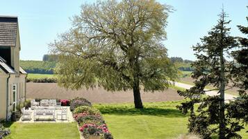 A house with a patio area, a large tree, and a view of the surrounding landscape.