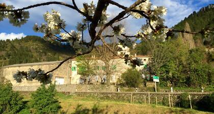 Moulin A