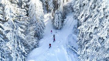 A snowy forest with a clear path for skiing.