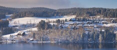 Paisaje invernal con un lago, árboles cubiertos de nieve y un conjunto de edificios de arquitectura tradicional.