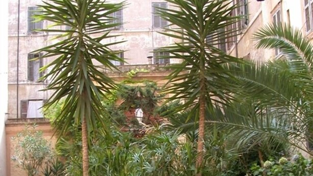 A courtyard with a central water feature, surrounded by various plants and a building in the background. - Hostel Pink Floyd (Rome)