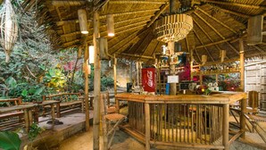 Un área de bar al aire libre con techo de paja, mobiliario de madera y un refrigerador de Coca-Cola.