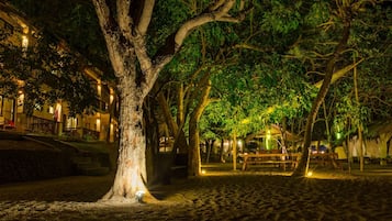 施設の敷地