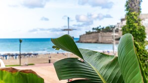 Vista de una playa con una hoja de palmera en primer plano.