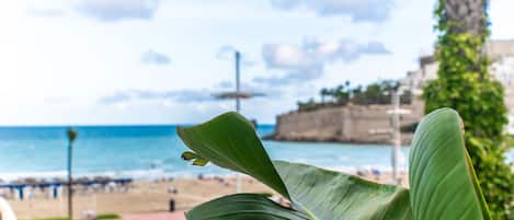 A beach view with a palm leaf in the foreground.