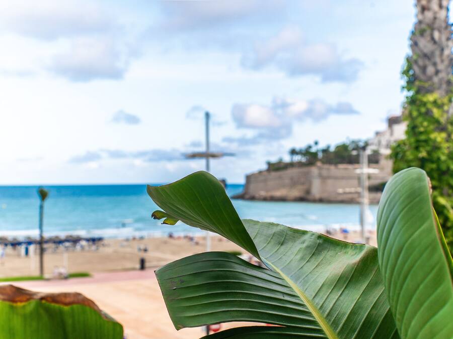 Vista de una playa con una hoja de palmera en primer plano.