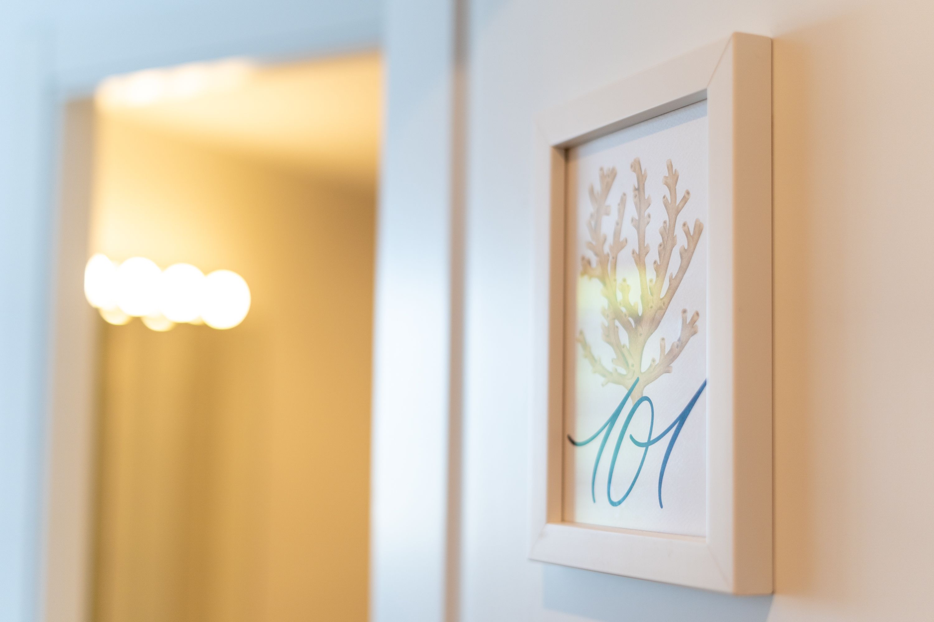 A framed artwork with a floral design and the number '101' on a wall.