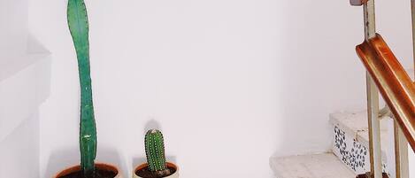 Una escalera con barandilla de madera, dos cactus en macetas y un cuadro de un pez en la pared.