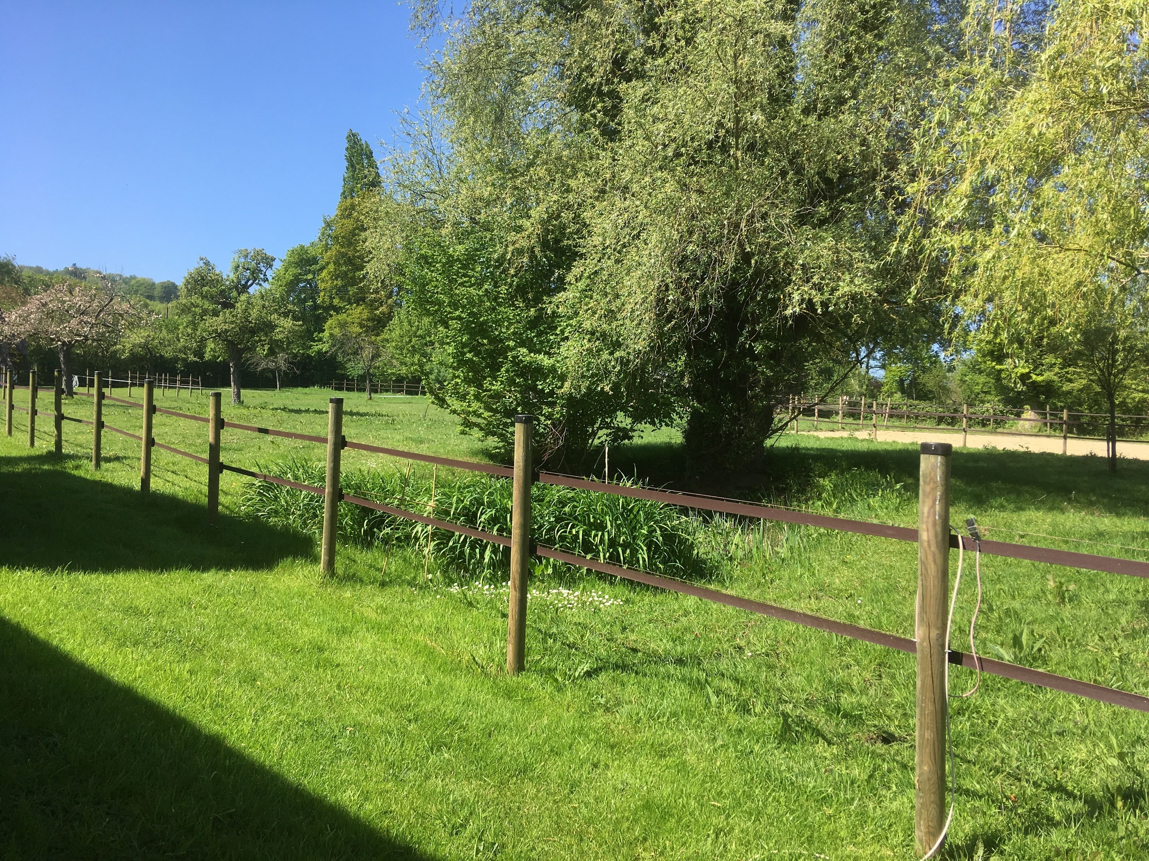 A fenced grassy area with trees and a clear sky.
