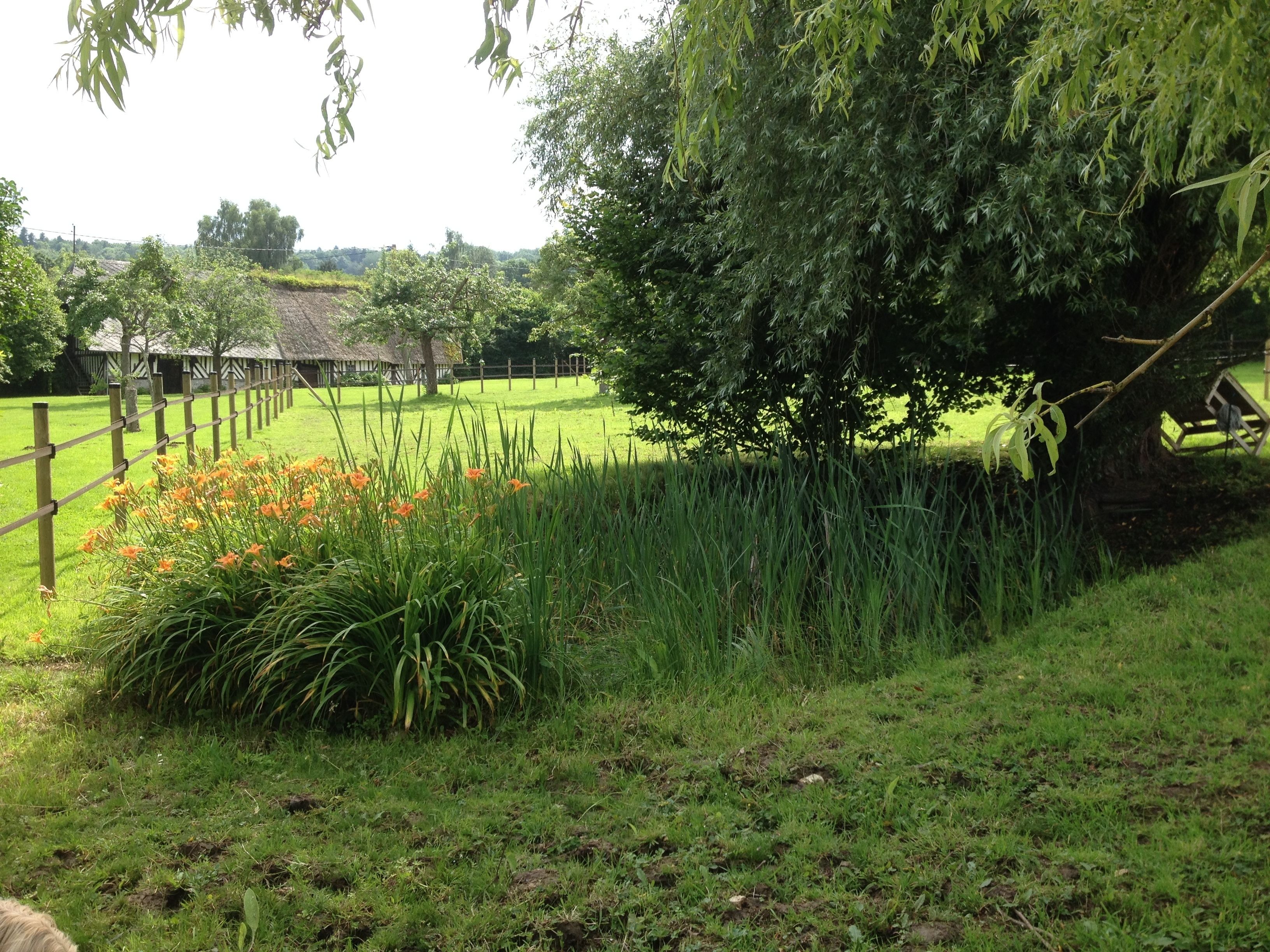A rural landscape with a thatched-roof building, a wooden fence, and a variety of vegetation including tall grasses and flowering plants.