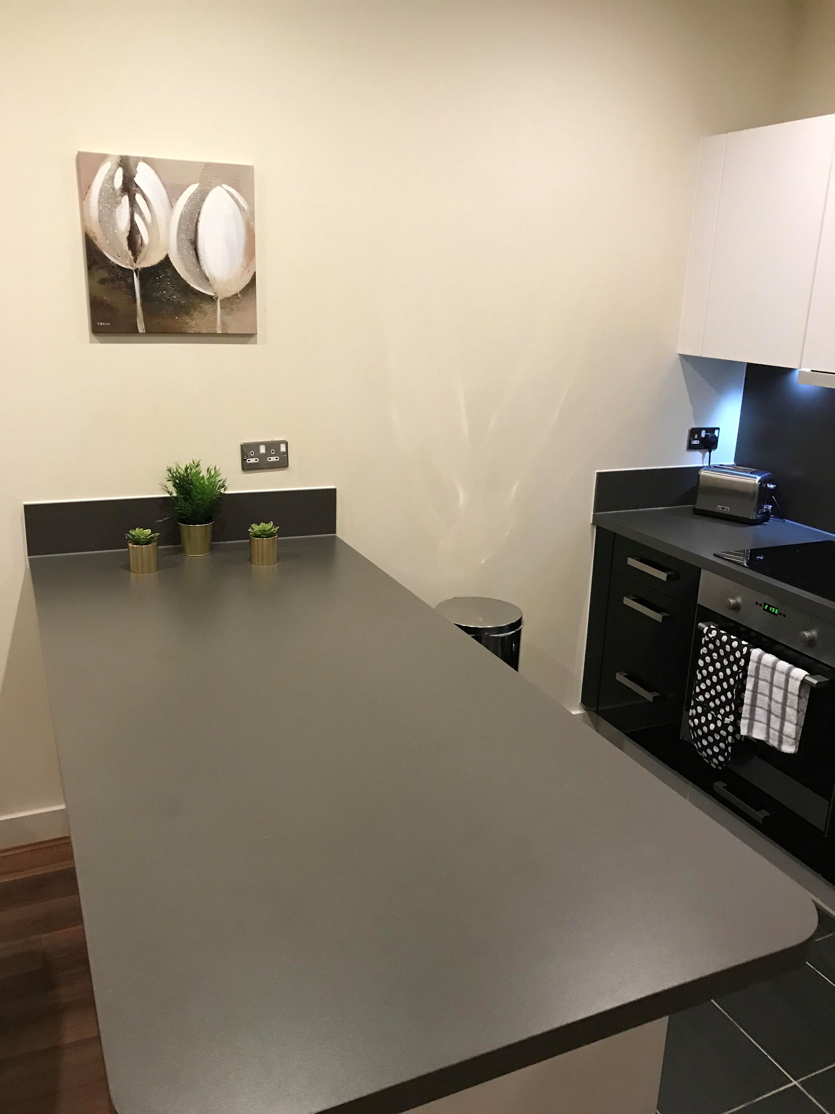 Eine moderne Küche mit grauer Arbeitsplatte, einem Toaster, einer Spüle und einem kleinen Mülleimer. Auf der Arbeitsplatte stehen drei Blumentöpfe und an der Wand hängt ein Bild.