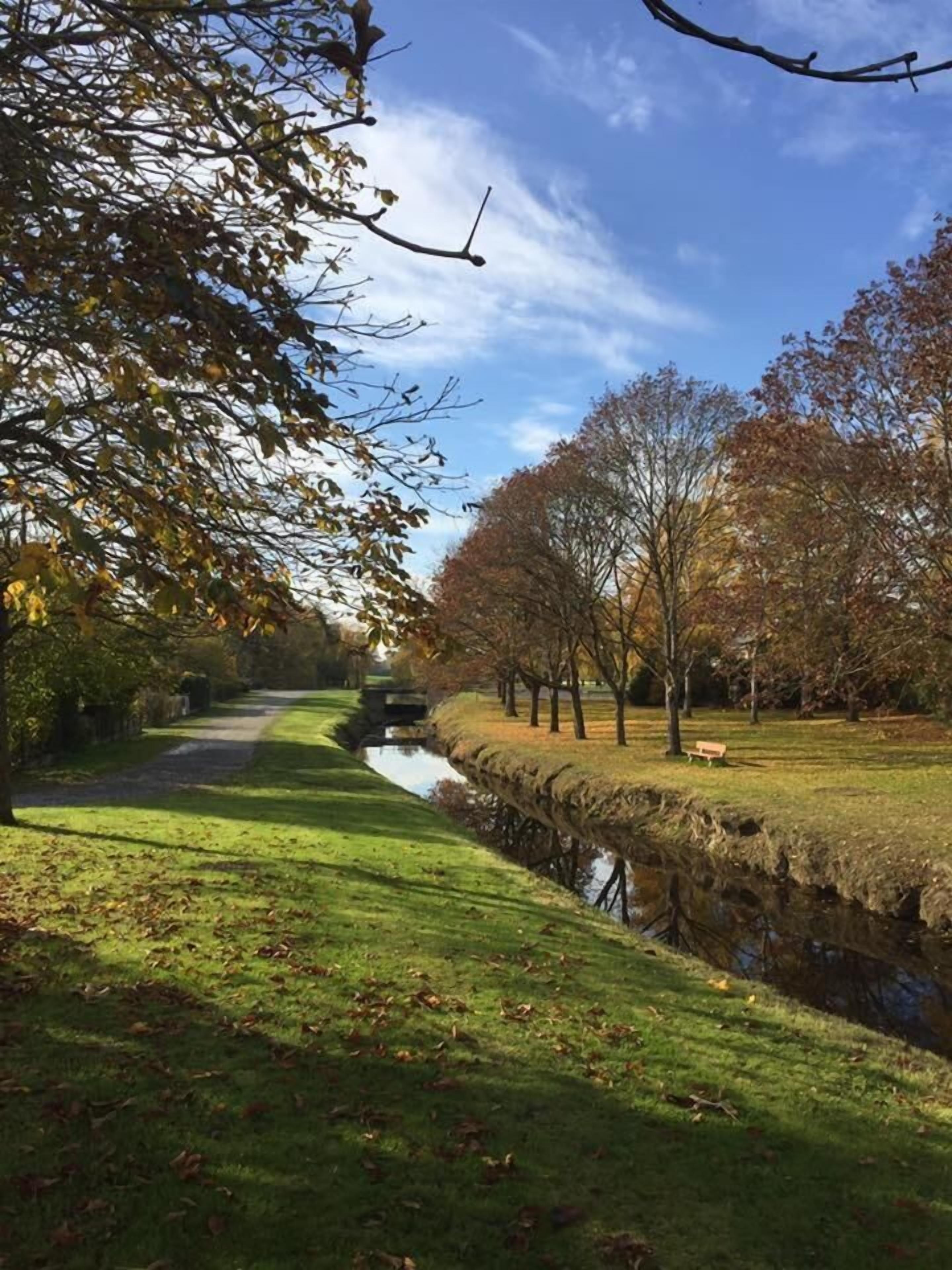 Un tranquillo sentiero di parco con un piccolo canale d'acqua, fiancheggiato da alberi e una panchina.