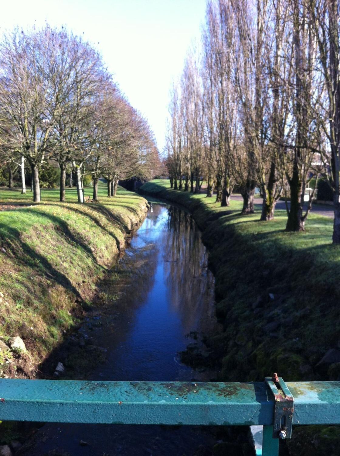 Une rivière paisible, bordée d’arbres des deux côtés, avec une rive herbeuse et une rambarde métallique au premier plan.