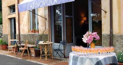 L'Asino Vola