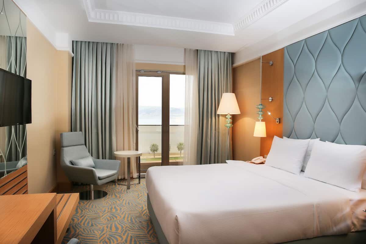 A hotel room with a large bed, a desk, a chair, a TV, and a view of the outdoors.