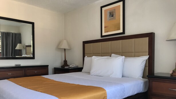 Habitación, 1 habitación | Escritorio, tabla de planchar con plancha y wifi gratis 