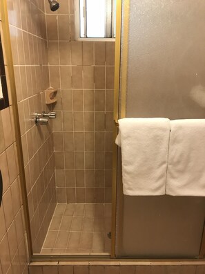 Chambre, 1 chambre | Douche de la salle de bain