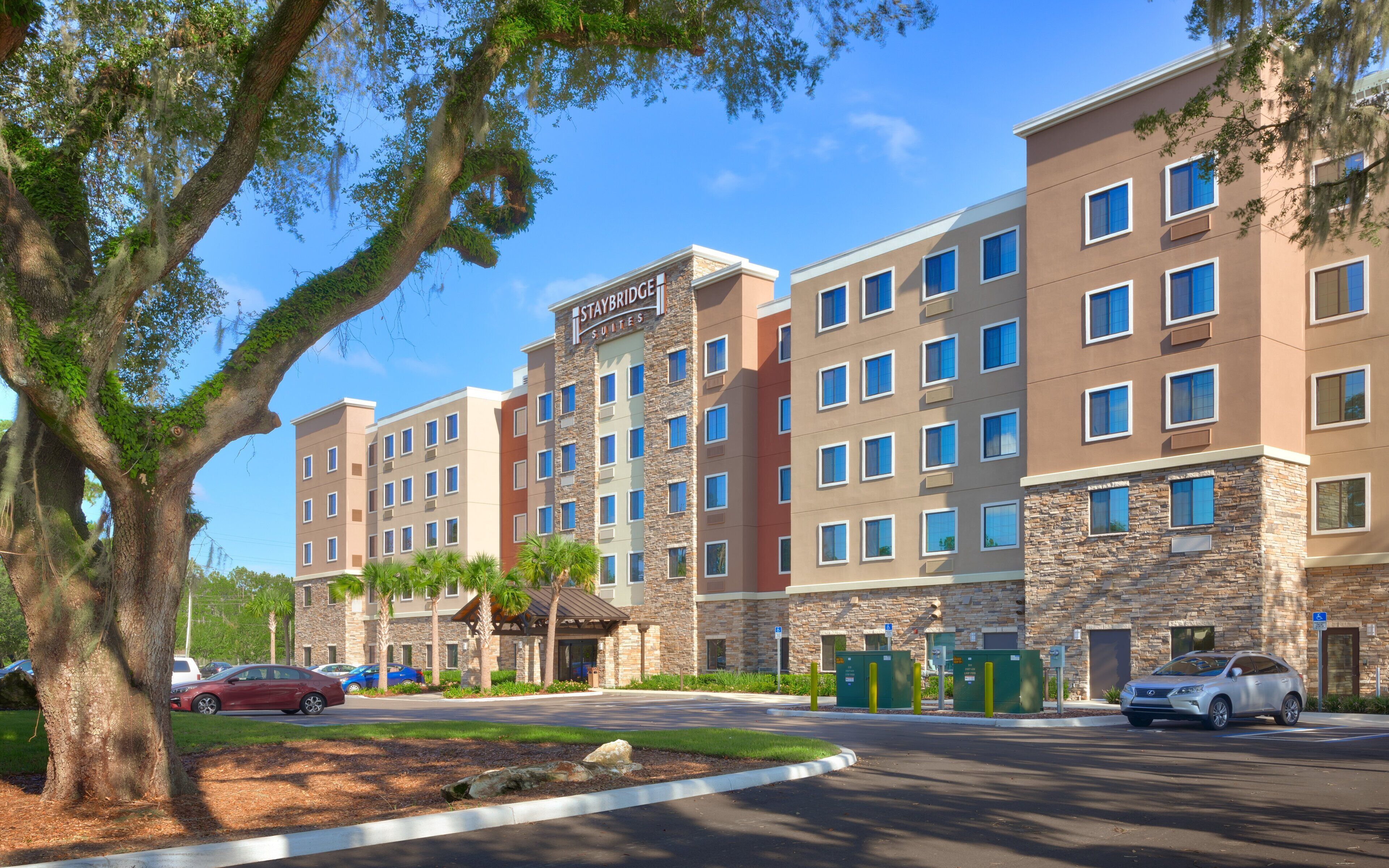 Foto - Staybridge Suites Gainesville I-75 by IHG
