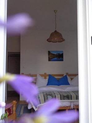 Desk, free WiFi, bed sheets