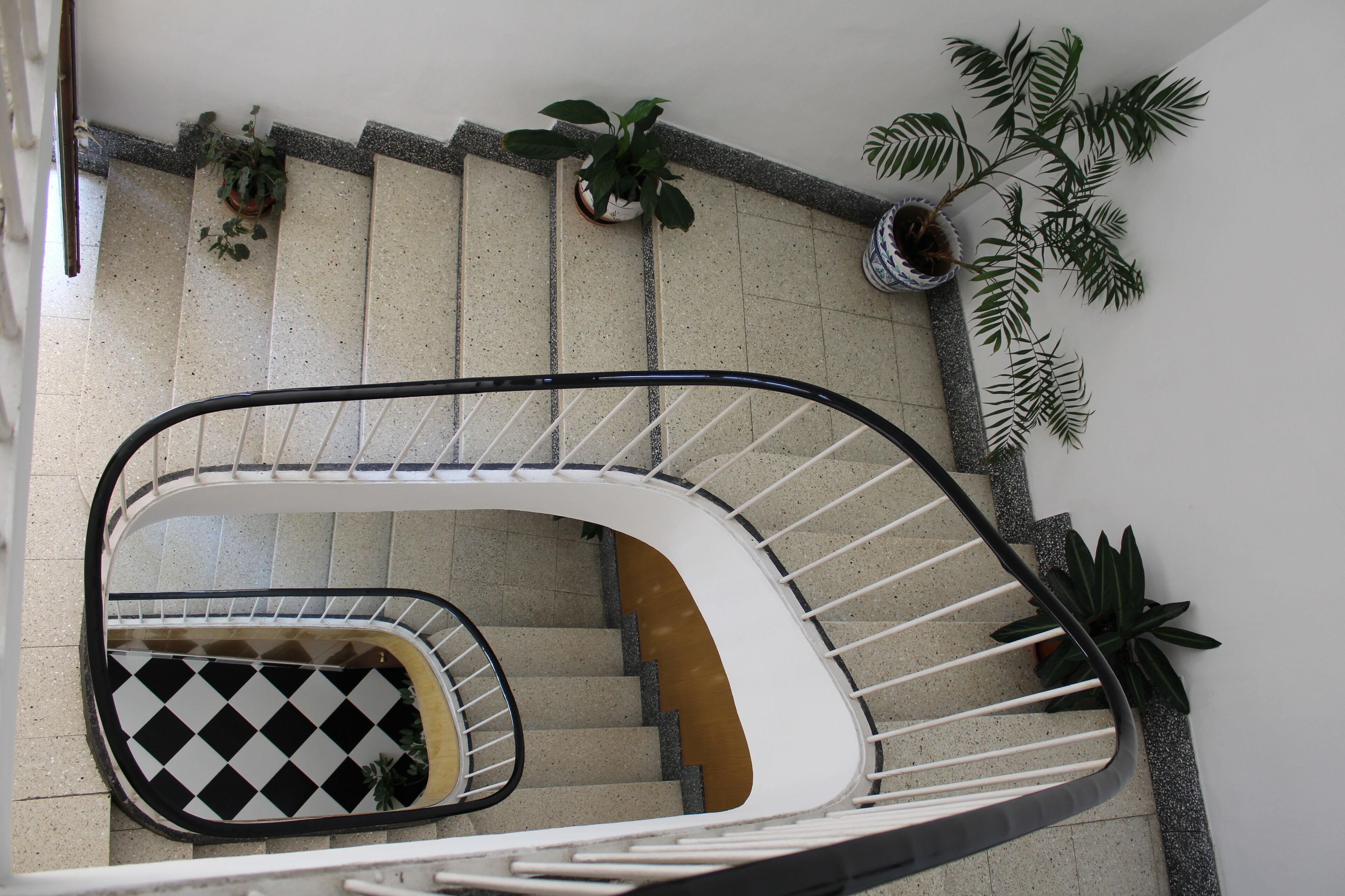 Una escalera en espiral con piso a cuadros, plantas en macetas y una pared blanca.
