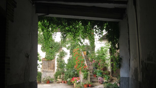 A narrow stone pathway leading to a staircase surrounded by potted plants and flowers. - Pensión Peperillo (Graus)