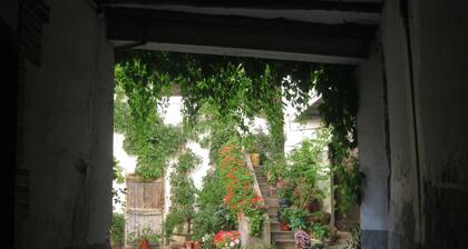 PensiĂłn Peperillo