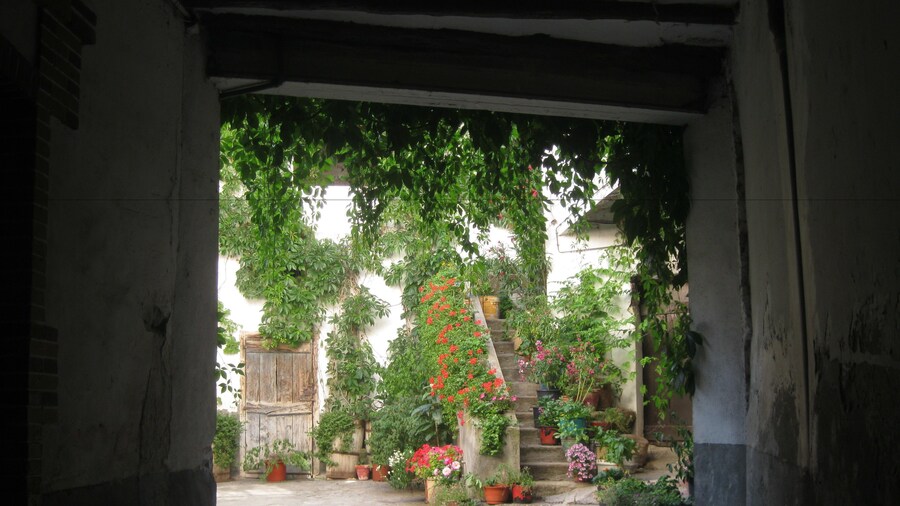 PensiĂłn Peperillo