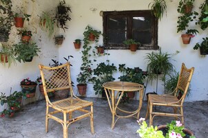 Una habitación con dos sillas de mimbre, una mesita redonda y varias plantas en macetas, todo frente a una pared blanca con una ventana.