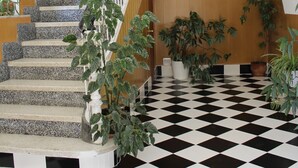 A staircase with a checkered floor and potted plants. - Pensión Peperillo (Graus)
