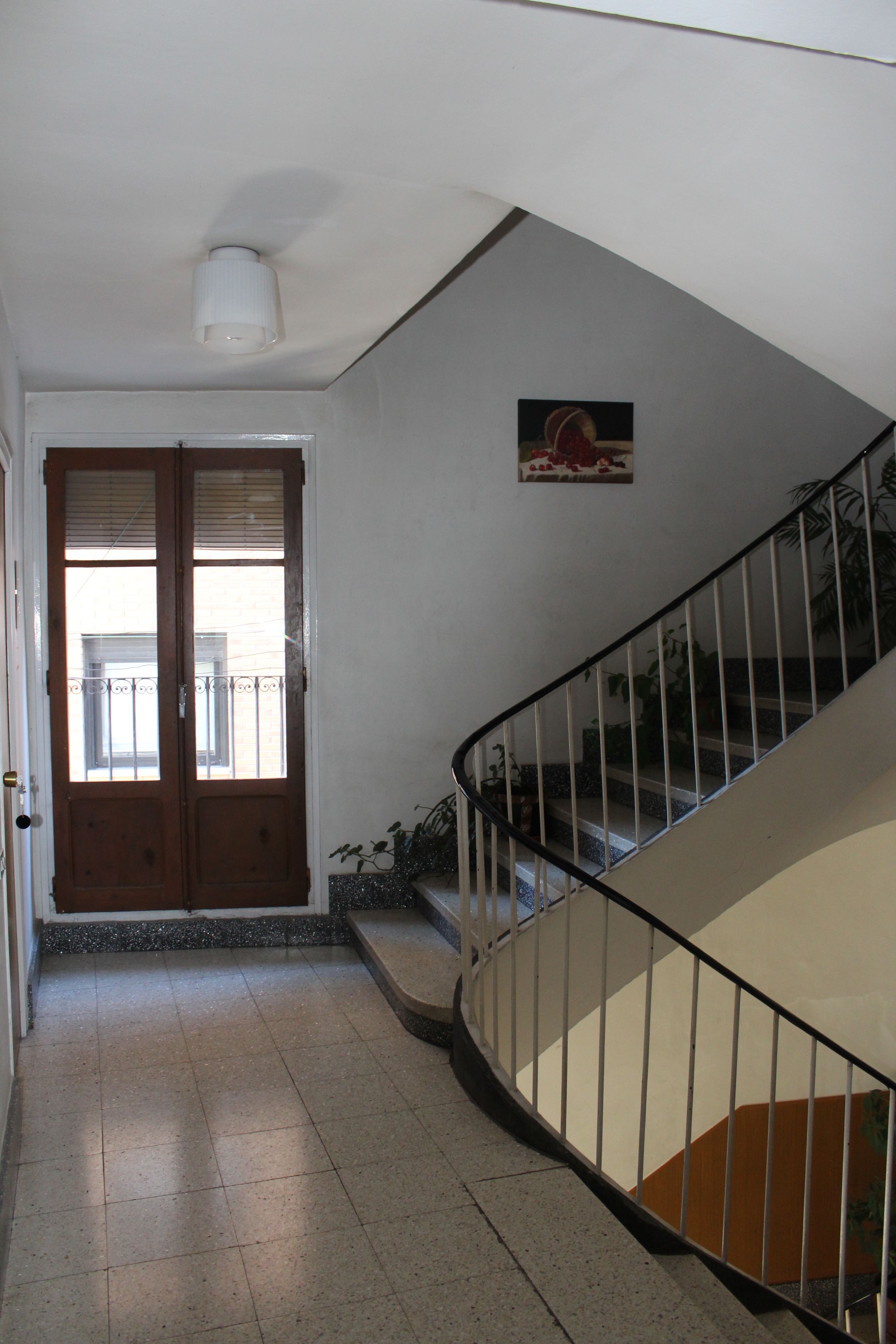 A staircase with a metal railing, a door with a window, and a small plant on the landing.