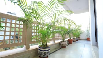Terras