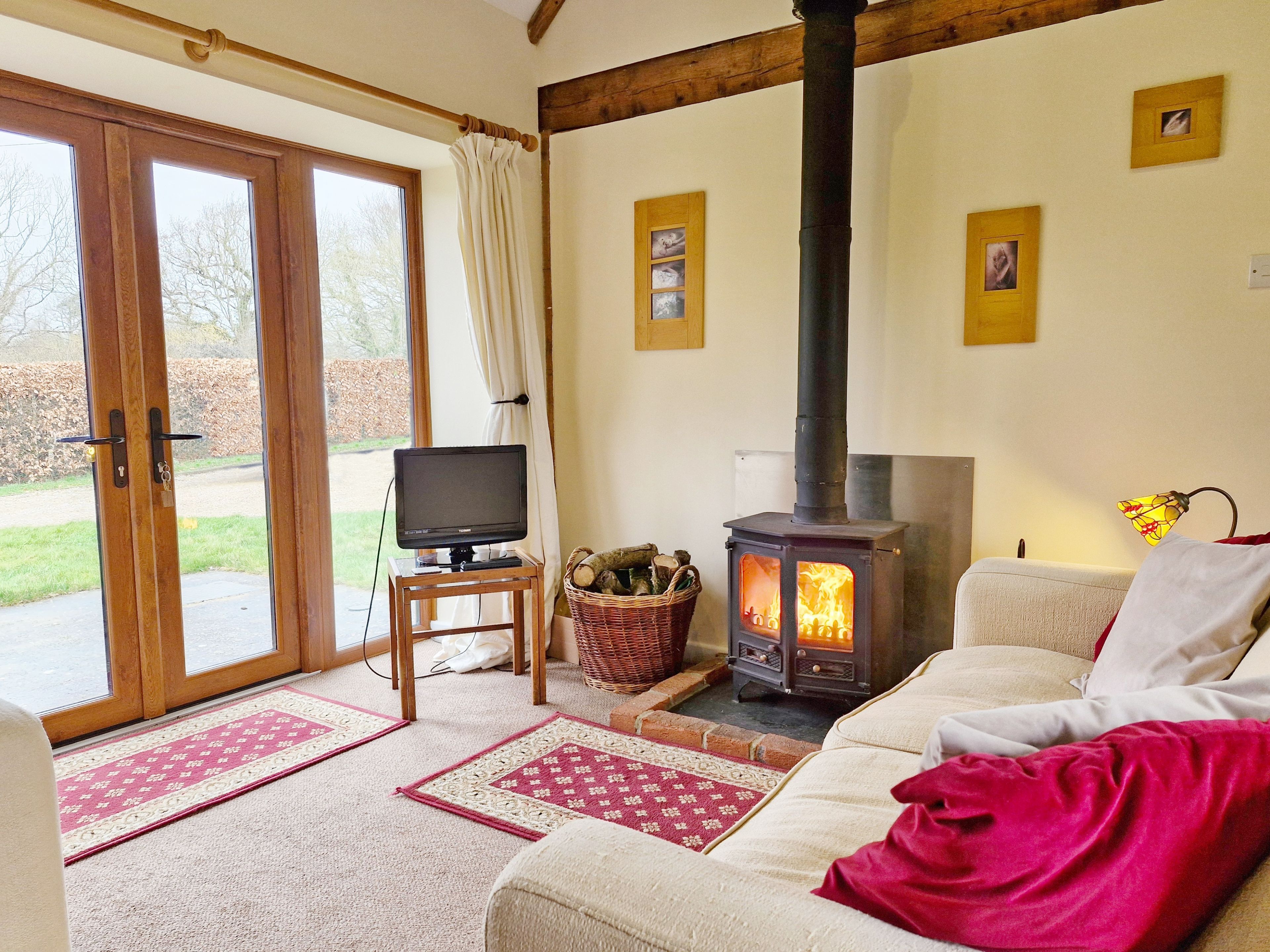 TV connectée, cheminée, lecteur de DVD