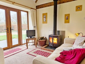 TV connectée, cheminée, lecteur de DVD