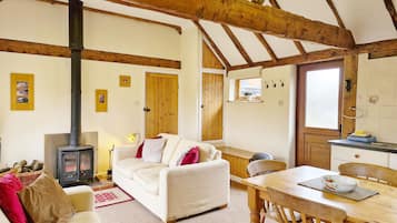 Smart TV, fireplace, DVD player